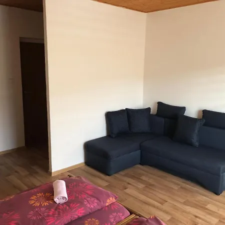 Pensionat U Larvu Železná Ruda