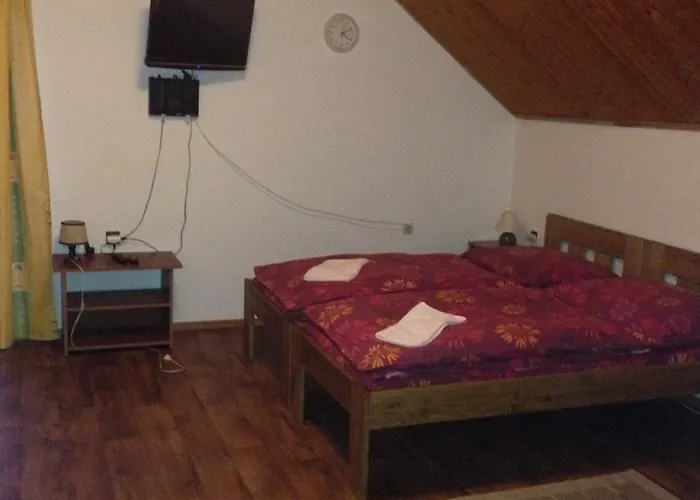 Penzion U Larvů Železná Ruda
